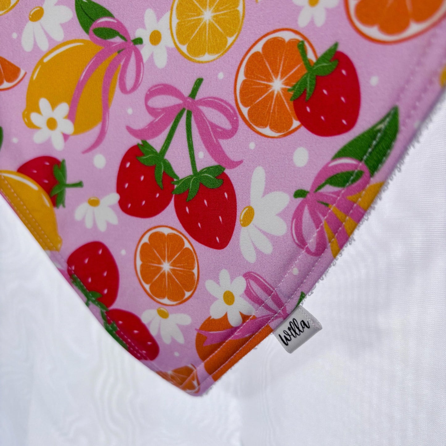 Fruit Bowl Bib
